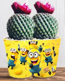 doniczka-do-kwiatow-roslin-minionki-i-gru-producent