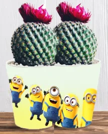 doniczka-do-kwiatow-roslin-minionki-i-gru-producent