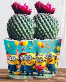 doniczka-do-kwiatow-roslin-minionki-i-gru-producent