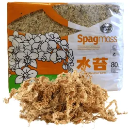 mech-sphagnum-80l-besgrow-spagmoss-classic-1kg-torfowiec-podloze-ph-48