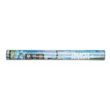 zdrapka-pilkarza-sprintigo-stan-nowy-kod-produktu-5906361451732