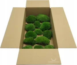 mech-poduszkowy-szwedzki-sredni-zielony-dekoracyjny-ozdobny-zywy-100g