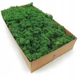 500g-mech-chrobotek-reniferowy-zielony-norweski