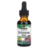 echinacea-root-nature-s-answer-echinacea-root-30-ml