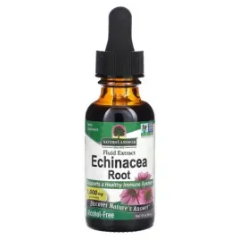 echinacea-root-nature-s-answer-echinacea-root-30-ml