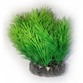 aquael-roslina-kepkowa-pr-203-3-7cm