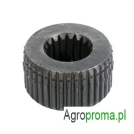 ca0136648-piasta-case-class-renault-new-holland