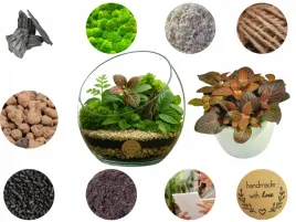 las-w-sloiku-szkle-kompletny-10-elementow-z-roslinka-i-kula-sloj