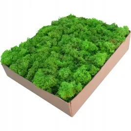 skrawki-mech-chrobotek-jasnozielony-karton-1kg