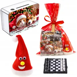 prezenty-na-swieta-mikolajki-skarbonka-paczki-tanczaca-czapka-mikolaja