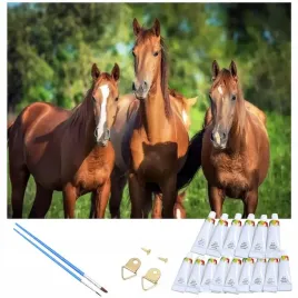malowanie-po-numerach-obraz-z-rama-diy-zestaw-pedzle-farby-plotno-40x50