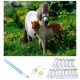 malowanie-po-numerach-obraz-z-rama-diy-zestaw-pedzle-farby-plotno-40x50