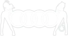 var-audi-naklejka-23-x-12-cm-biala
