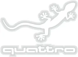 var-audi-quattro-naklejka-164-x-118-biala