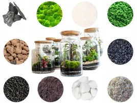 zestaw-startowy-do-lasu-w-szkle-kompletny-12-elementow-mega-duzy-xxl