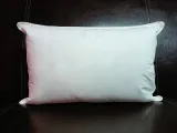 poduszka-z-pierza-40x60-700g-biala-kod-producenta-565132