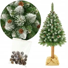 choinki-marzen-choinka-na-pniu-sosna-diamentowa-premium-220cm