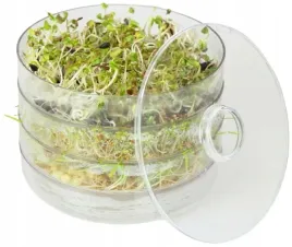 kielkownica-3-szalki-nasiona-na-kielki-gratis