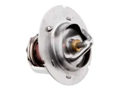 termostat-chrysler-voyager-iv-2000-2001-2002-2003-2004-2005-2006-2007-2008