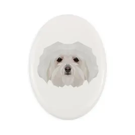 bolonczyk-bolognese-plytka-ze-zdjeciem-i-napisem-geometryczna-marki-art-d