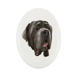 mastif-neapolitanski-neapolitan-mastiff-mastino-napoletano-plytka-ze-zdj