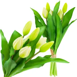 cv18674-1-tulipany-bukiet-tulipanow-gumowane-gumowe-jak-zywe-silikonowe-bia