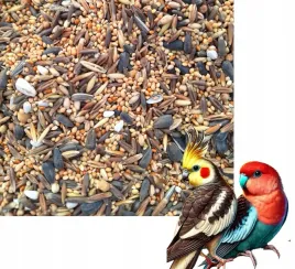 pokarm-dla-papug-srednich-ziarno-karma-dla-nimfy-nierozlaczki10-kg