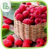 olej-z-pestek-malin-tloczony-na-zimno-naturalny-do-twarzy-na-slonce-rodzaj-pestki-malin