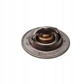 citroen-jumper-peugeot-boxer-1-9-d-termostat-eps-1-880-304