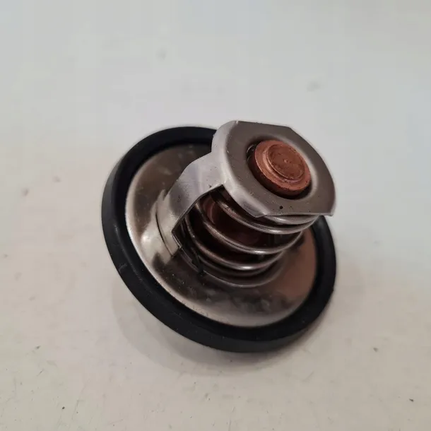 renault-19-1-7-termostat-24100-90-producent-czesci-thermo