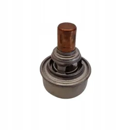 citroen-renault-volvo-termostat-motorad-345-88