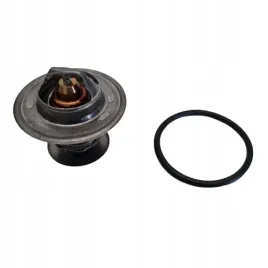 ford-volkswagen-seat-termostat-calorstat-th3349-87j