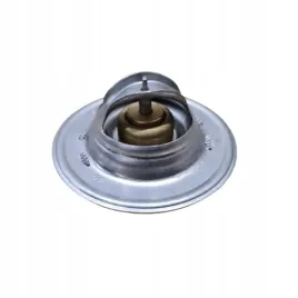 ford-fiesta-taunus-orion-escort-1-0-1-1-1-3-termostat