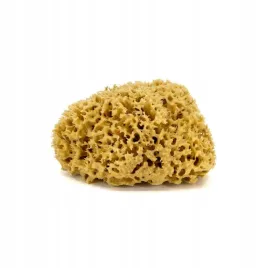 naturalna-gabka-morska-do-twarzy-i-ciala-m-12-14-cm-or-delikatna