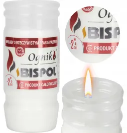 bispol-wklad-zalewany-ognik-wp2n-1-szt