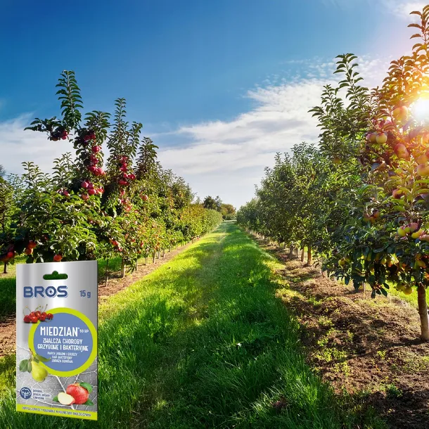 bros-miedzian-50wp-15g-marka-bros