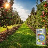 bros-miedzian-50wp-15g-produkt-wprowadzony-do-obrotu-na-terenie-ue-przed-13-12-2024-tak