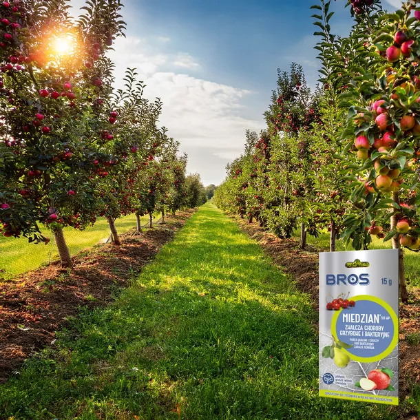 bros-miedzian-50wp-15g-stan-nowy-kod-producenta-5904517364004