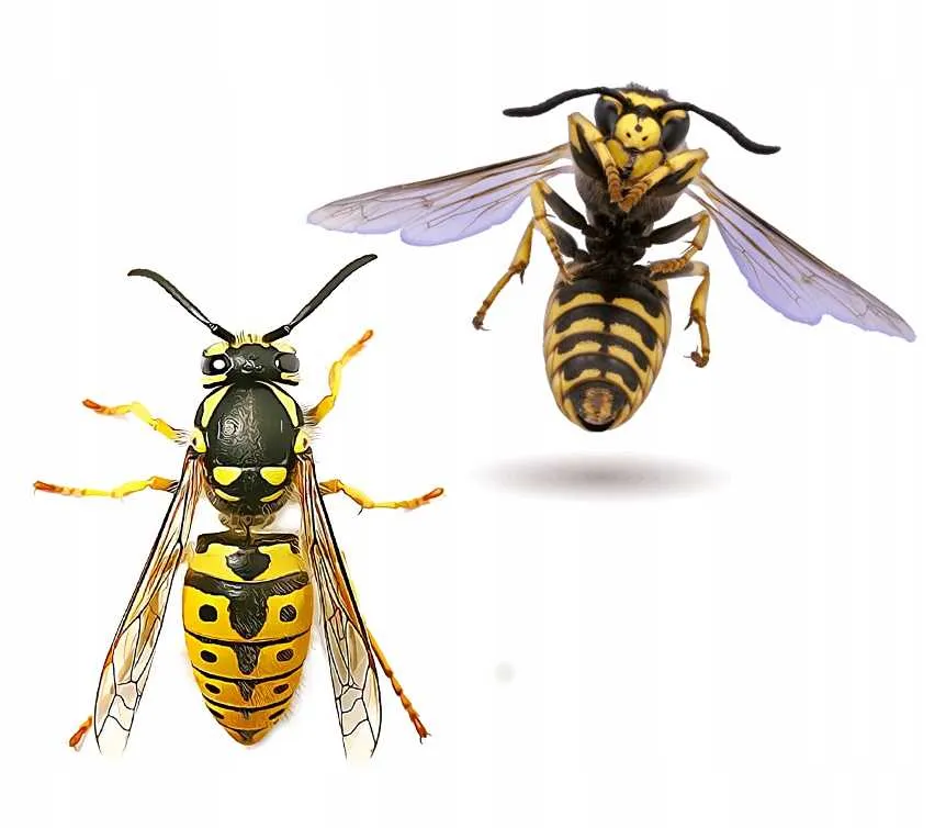 bros-anty-osa-300ml-stan-nowy