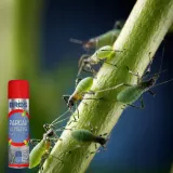 bros-parcan-ae-zwalcza-mszyce-spray-250ml-stan-opakowania-oryginalne