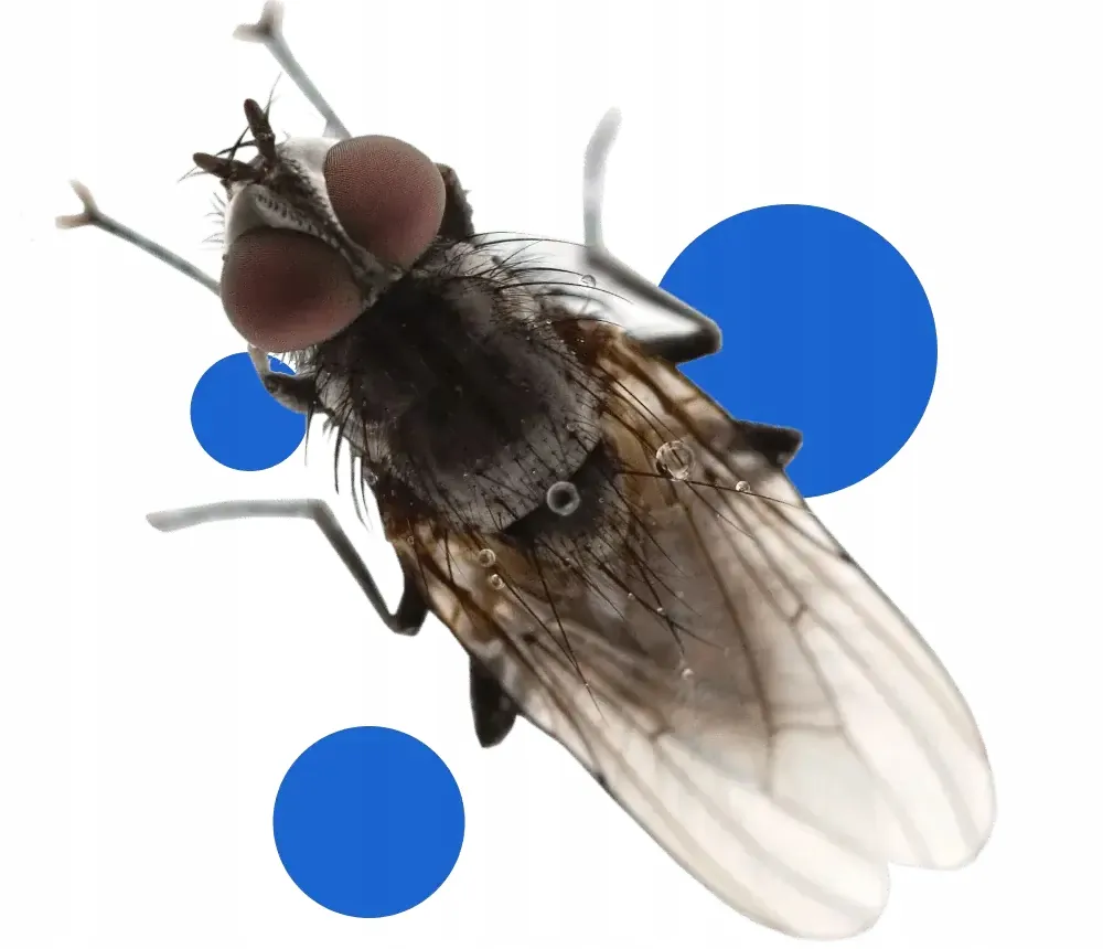 bros-spray-na-meszki-90ml-stan-nowy