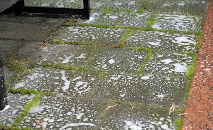 tenzi-topefekt-moss-1l-marka-tenzi