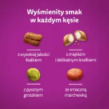 whiskas-sucha-kurczak-14kg-kod-producenta-5900951014352