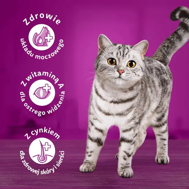 whiskas-sucha-kurczak-14kg-liczba-sztuk-1-szt