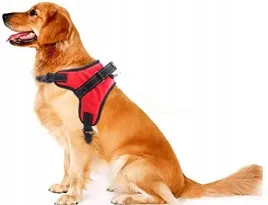 mocne-szelki-dla-duzego-psa-owczarka-labradora-wytrzymale-rozmiar-xl