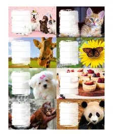 naklejki-na-zeszyty-girls-24-szt-panta-plast