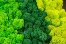 premium-mech-chrobotek-dekoracyjny-mix-3-kolorow-500gr-0-5kg