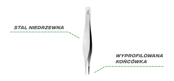 nghia-export-peseta-t-10-rodzaj-szablon