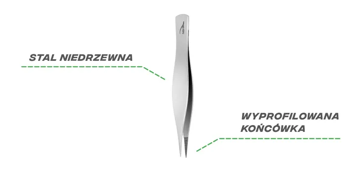nghia-export-peseta-t-11-rodzaj-szablon
