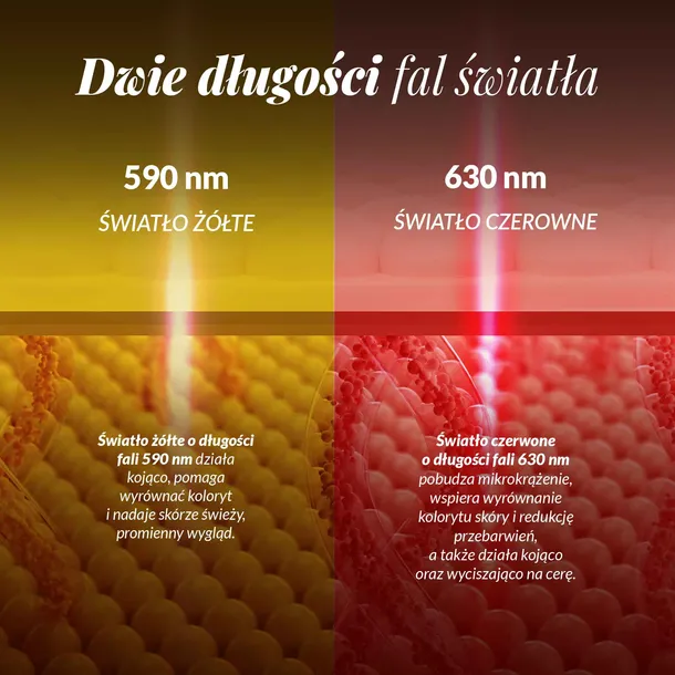 neno-beauty-algo-stan-nowy-marka-neno